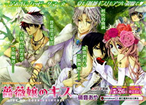 Картинка Kiss of Rose Princess