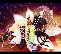 Картинка Touhou Collection