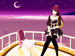 Обои для рабочего стола Истории монстров Аниме