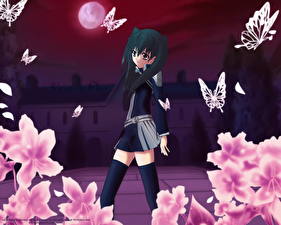 Фотография D. Gray-Man Аниме