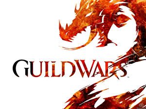 Картинка Guild Wars Guild Wars 2 компьютерная игра