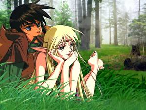 Обои для рабочего стола Летопись войн острова Лодосс Аниме