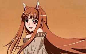 Картинка Spice and Wolf