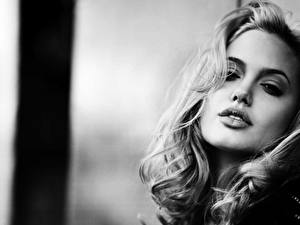 Картинка Angelina Jolie