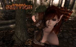 Фото The Elder Scrolls The Elder Scrolls IV: Oblivion Игры