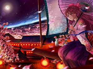 Фотографии Touhou Collection