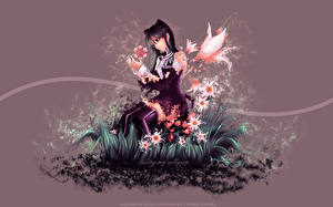 Фотография D. Gray-Man Аниме