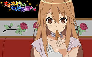 Фотография Ookami-san to Shichinin no Nakama-tachi Аниме