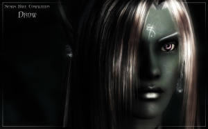 Картинка The Elder Scrolls The Elder Scrolls IV: Oblivion Xenius Race Compilation компьютерная игра