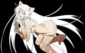 Картинка Bakemonogatari Аниме