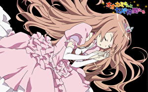 Обои Ookami-san to Shichinin no Nakama-tachi Аниме