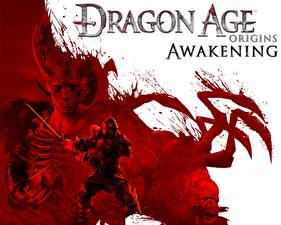 Фото Dragon Age Awakening