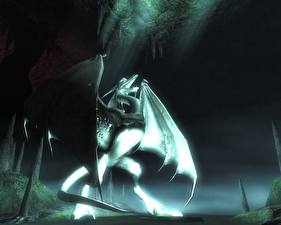 Фотография The Elder Scrolls The Elder Scrolls IV: Oblivion