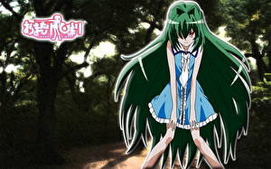 Картинка Omamori Himari