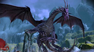 Фото Dragon Age компьютерная игра