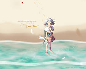 Фотографии Ys Ys VI: The Ark of Napishtim Игры