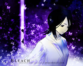 Обои Bleach: Memories of Nobody