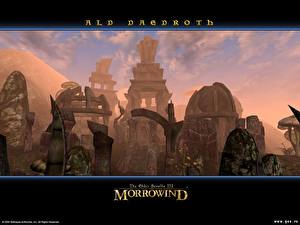Фотография The Elder Scrolls The Elder Scrolls III: Morrowind компьютерная игра