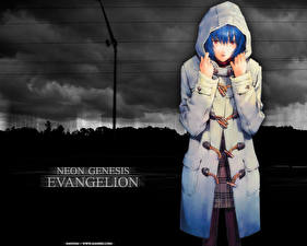 Картинки Neon Genesis Evangelion Аниме