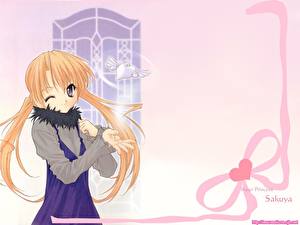 Обои Sister Princess Аниме