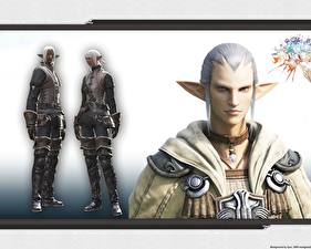 Картинка Final Fantasy Final Fantasy XIV компьютерная игра