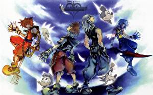Фотография Kingdom Hearts компьютерная игра