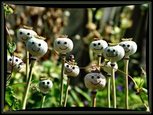 Обои Смайлы Юмор