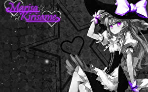 Фотография Touhou Collection