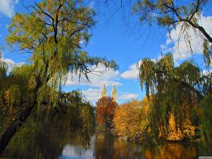 Фотография Осень Озеро Природа