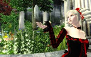 Обои The Elder Scrolls The Elder Scrolls IV: Oblivion компьютерная игра