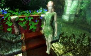 Фотографии The Elder Scrolls The Elder Scrolls IV: Oblivion