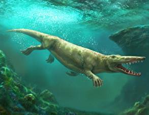 Картинка Крокодилы Животные