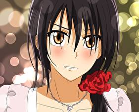 Фотография Class President is a Maid!