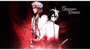 Картинки Bleach: Memories of Nobody