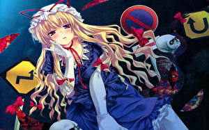 Фото Touhou Collection