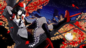 Обои для рабочего стола Touhou Collection Аниме