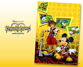 Фото Kingdom Hearts Игры