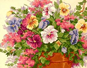 Обои Фиалка трёхцветная Цветы