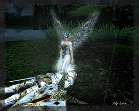 Фото The Elder Scrolls Игры