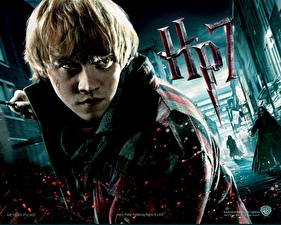 Фотографии Гарри Поттер Гарри Поттер и Дары Смерти Rupert Grint Фильмы