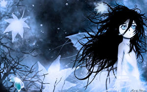 Фотография Берсерк