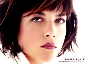 Фото Selma Blair Знаменитости
