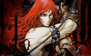 Картинки Castlevania Castlevania 1 Игры