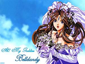 Фотография Ah! My Goddess