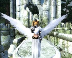 Картинки The Elder Scrolls The Elder Scrolls IV: Oblivion