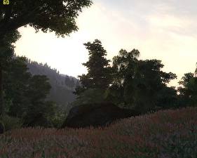 Картинка The Elder Scrolls The Elder Scrolls IV: Oblivion