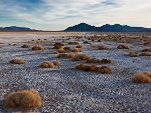 Картинки Пустыня