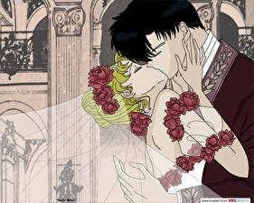 Обои Sailor Moon