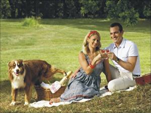 Картинки Пикник Пакостник ) Юмор