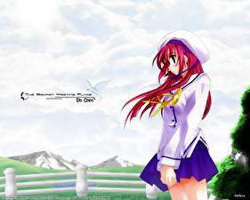 Обои D.C. Da Capo